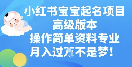 小红书宝宝起名项目高级版本，操作简单，资料专业，月入过W-牛马资源