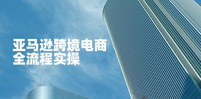 (14252期)亚马逊跨境电商全流程实操,教你从零开始,掌握店铺运营与广告技巧-牛马资源