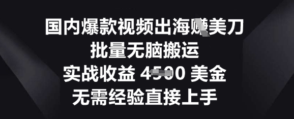 国内爆款视频出海挣美刀，批量无脑搬运，实战收益4.5k，无需经验直接上手-牛马资源
