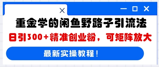 重金学的闲鱼野路子引流法，日引300+精准创业粉，可矩阵放大-牛马资源