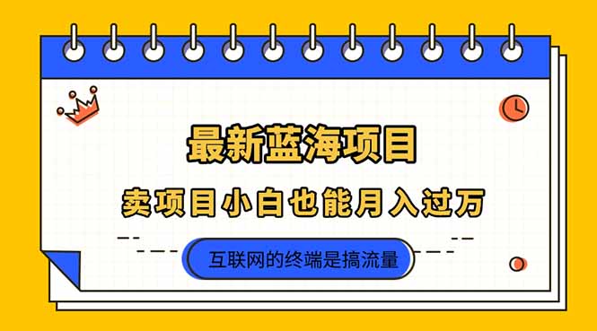 （14289期）2025年最新蓝海项目，卖项目小白也能月入过万-牛马资源