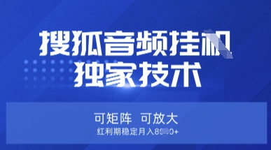 【搜狐音频挂G】独家技术,可矩阵可放大,红利期稳定月入8k【揭秘】-牛马资源