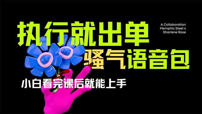 （14170期）爆火全网的开车导航骚气语音包,只要执行就出单，小白看完课程就能实操...-牛马资源