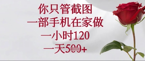 你只管截图，一部手机在家操作，一小时120.一天5张【揭秘】-牛马资源